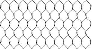 chicken wire.png