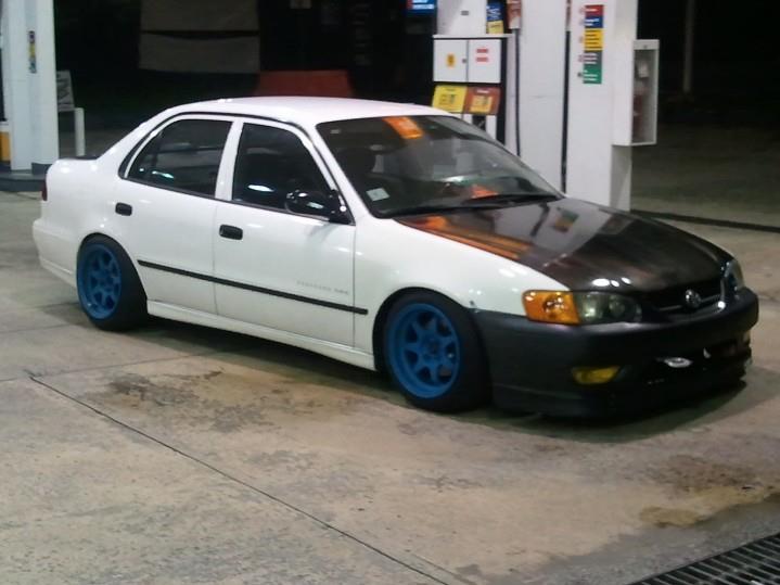 shell corolla.jpg