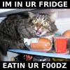 IM_IN_UR_FRIDGE_by_silver_sashi.jpg