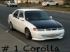 corolla.png